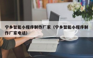亳州宁乡智能小程序制作厂家（宁乡智能小程序制作厂家电话）