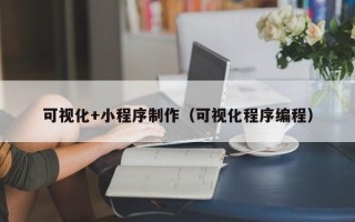 亳州可视化+小程序制作（可视化程序编程）